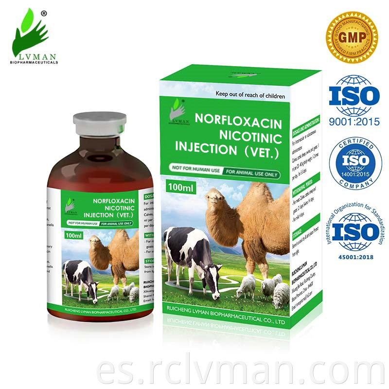 Norfloxacin Injection 1